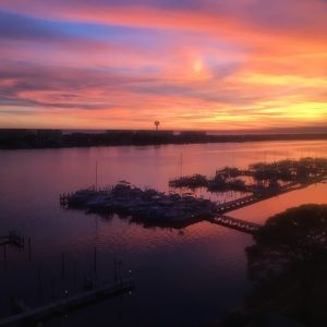 Meet your Posher, Duane